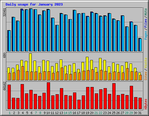 Daily usage for January 2023