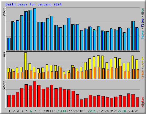 Daily usage for January 2024