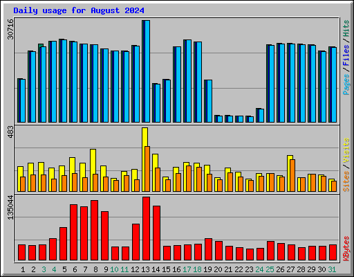 Daily usage for August 2024