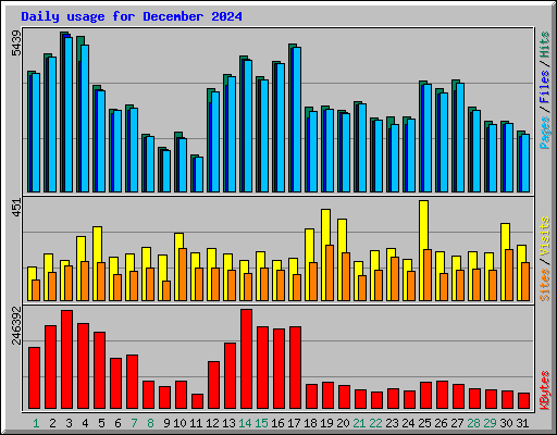 Daily usage for December 2024