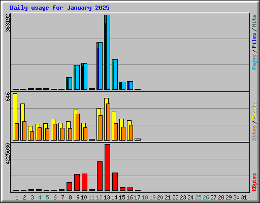 Daily usage for January 2025