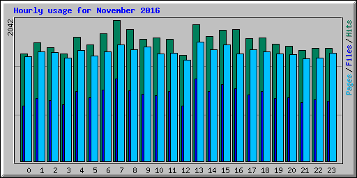 Hourly usage for November 2016