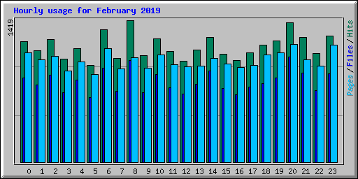 Hourly usage for February 2019