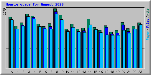 Hourly usage for August 2020