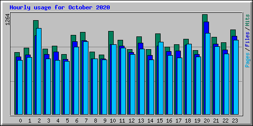 Hourly usage for October 2020
