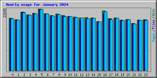 Hourly usage for January 2024