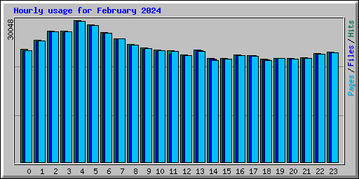 Hourly usage for February 2024