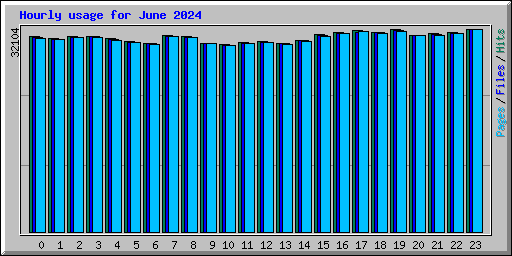 Hourly usage for June 2024