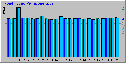 Hourly usage for August 2024