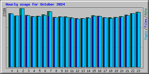 Hourly usage for October 2024