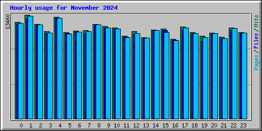 Hourly usage for November 2024