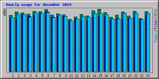 Hourly usage for December 2024