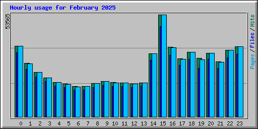 Hourly usage for February 2025