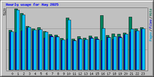 Hourly usage for May 2025