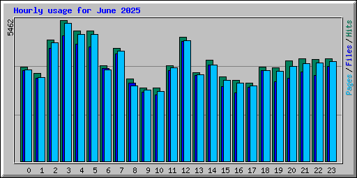 Hourly usage for June 2025
