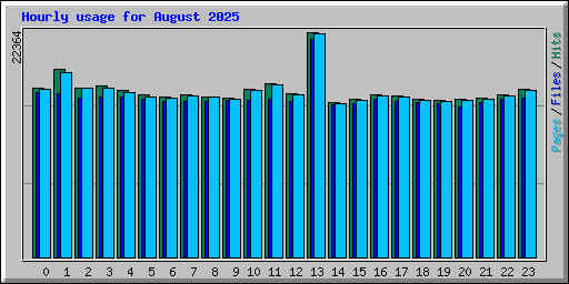 Hourly usage for August 2025