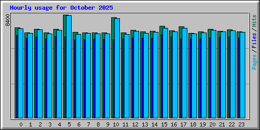 Hourly usage for October 2025